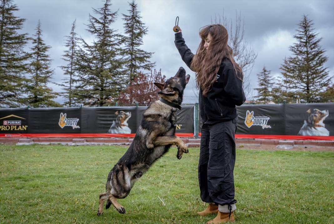 Özel eğitimli köpekler yeraltındaki su kaçaklarını tespit edecek 18